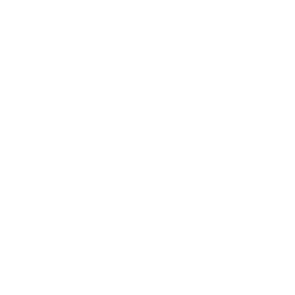 BlissVine Ventures